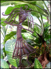 Metal Garden Stake - Haitian Steel Drum Plant Stick -  Outdoor Garden Art - 7" x 15"